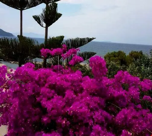 Maira Beach Hotel Bodrum